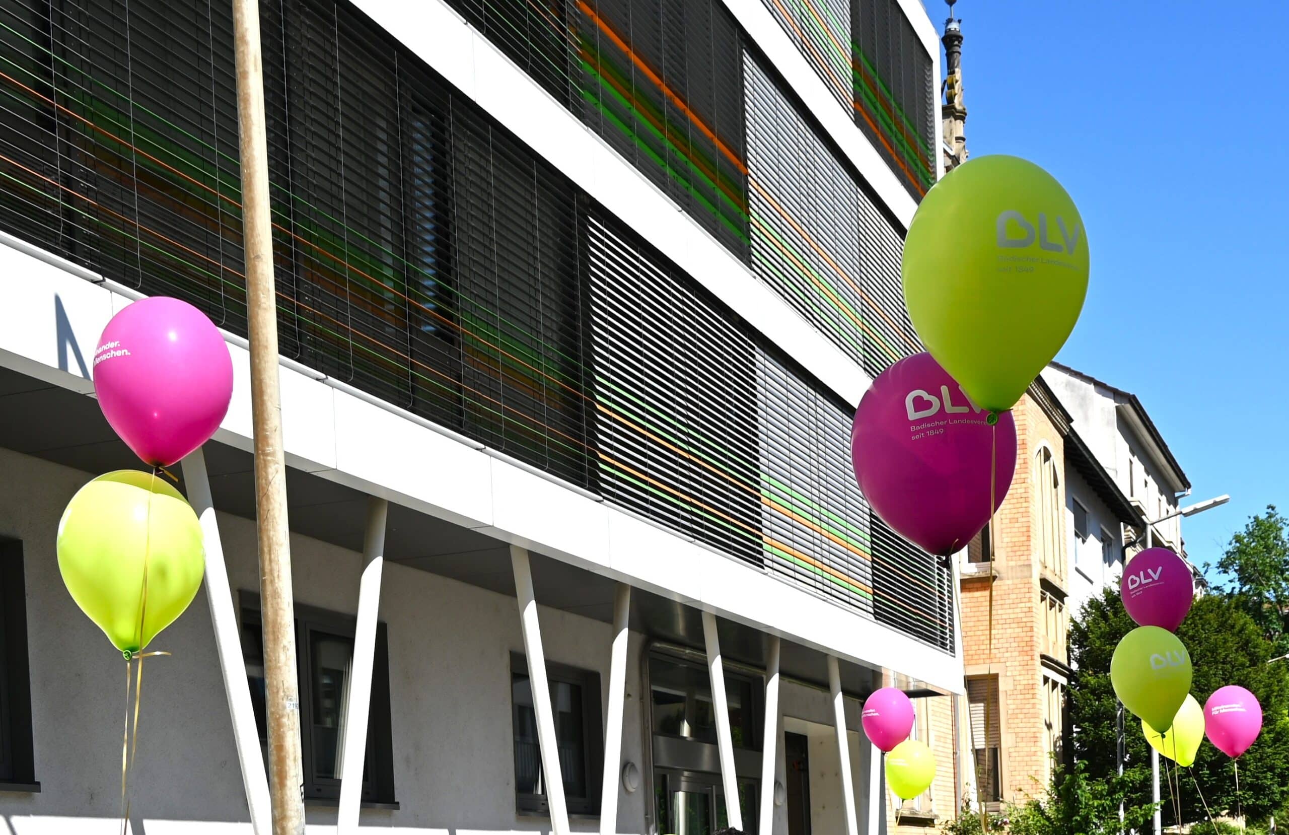 Viele grüne und violette Luftballons schweben vor dem Friedensheim an Schnüren.